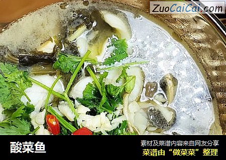 酸菜鱼
