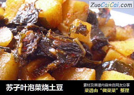 苏子叶泡菜烧土豆