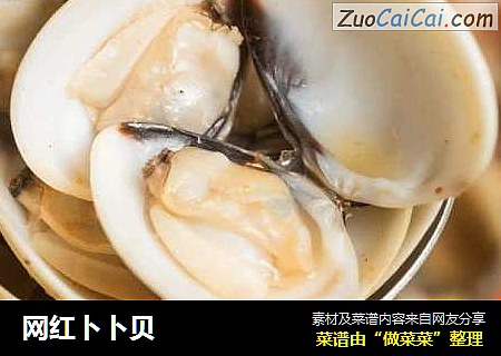 网红卜卜贝