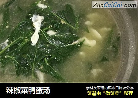 辣椒菜鸭蛋汤
