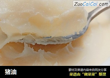 猪油