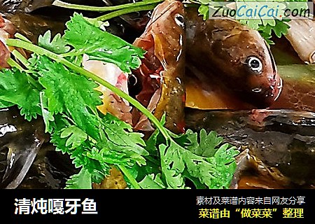 清炖嘎牙鱼