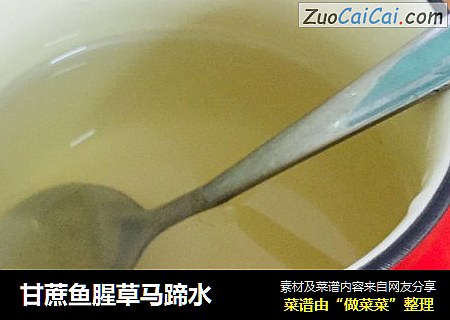 甘蔗鱼腥草马蹄水
