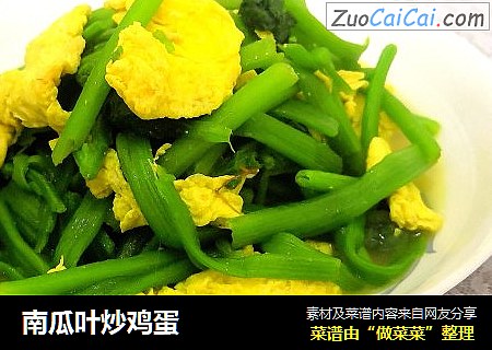 南瓜叶炒鸡蛋