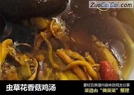 虫草花香菇鸡汤