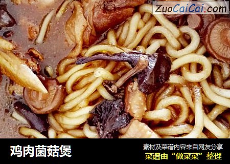 鸡肉菌菇煲