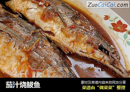 茄汁烧鲅鱼