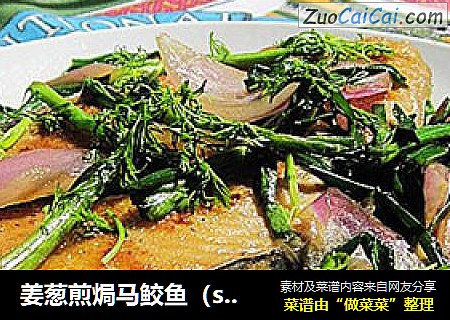 姜葱煎焗马鲛鱼（spanish mackeral）
