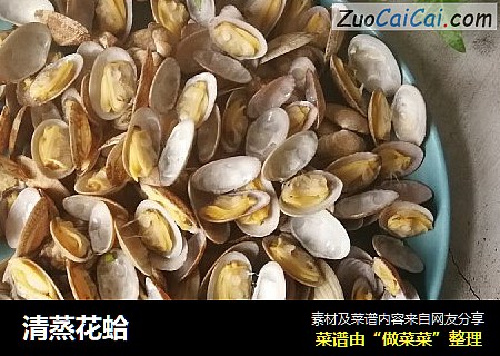 清蒸花蛤