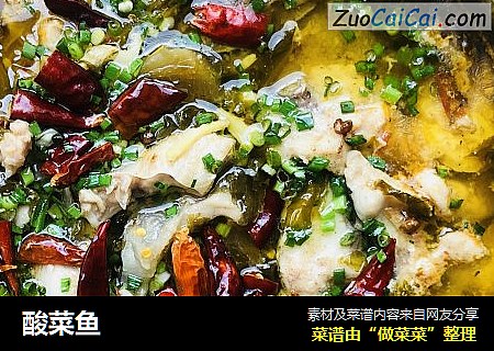 酸菜鱼