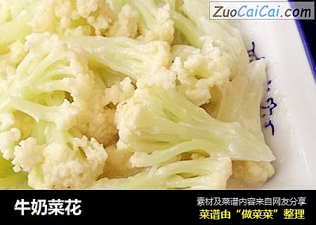 牛奶菜花