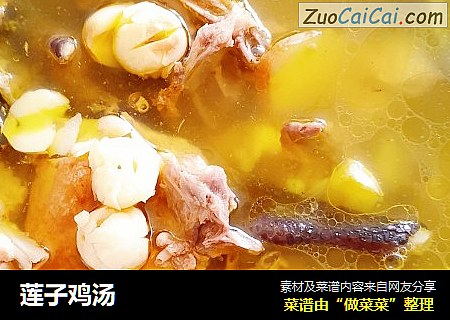 莲子鸡汤