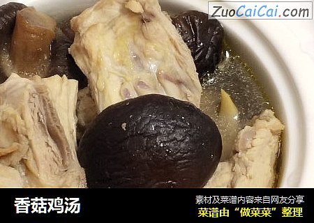 香菇鸡汤