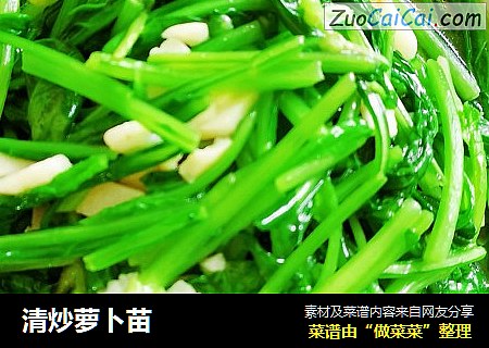 清炒萝卜苗