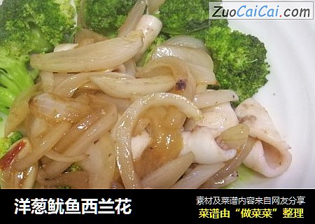 洋葱鱿鱼西兰花