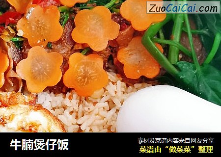 牛腩煲仔饭