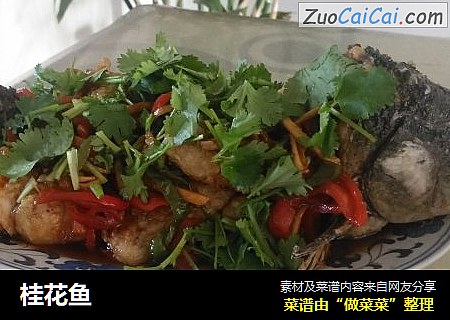 桂花鱼