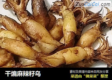 干煸麻辣籽乌
