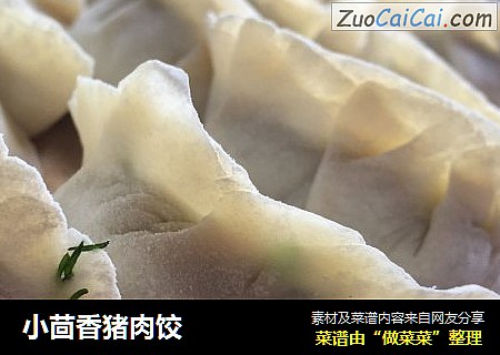 小茴香猪肉饺