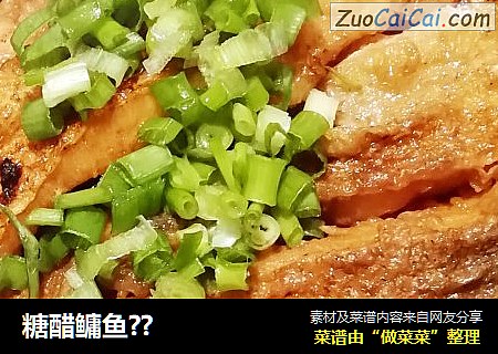 糖醋鳙鱼??