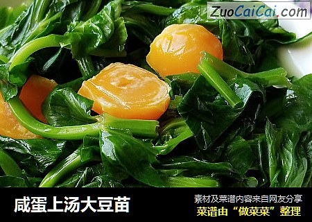 咸蛋上汤大豆苗