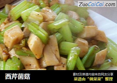 西芹菌菇