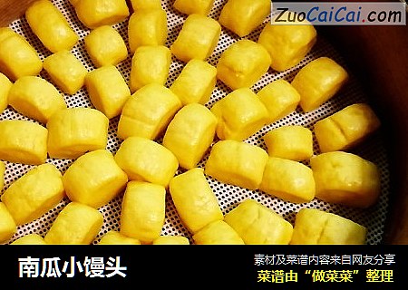 南瓜小馒头