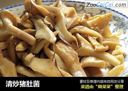 清炒猪肚菌