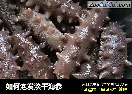 如何泡发淡干海参 