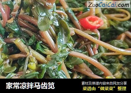 家常凉拌马齿笕