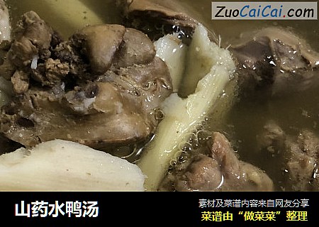 山药水鸭汤