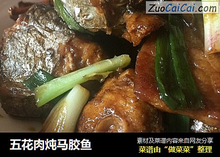 五花肉炖马胶鱼