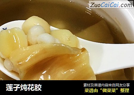 莲子炖花胶