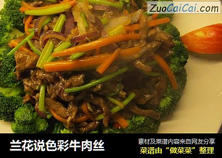 兰花说色彩牛肉丝