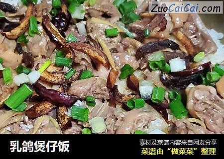 乳鸽煲仔饭