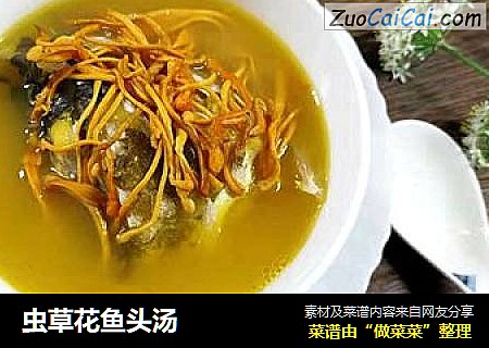 虫草花鱼头汤