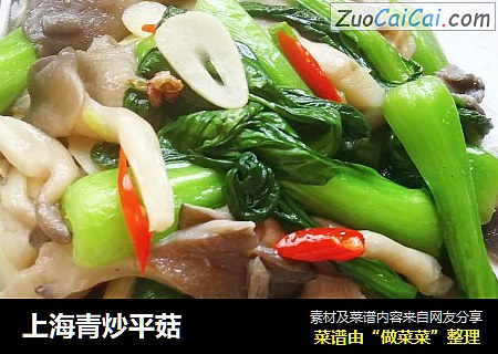 上海青炒平菇