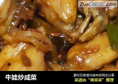 牛娃炒咸菜