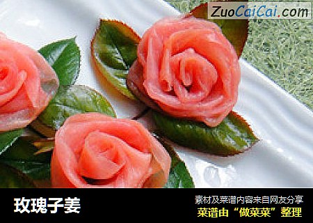 玫瑰子姜