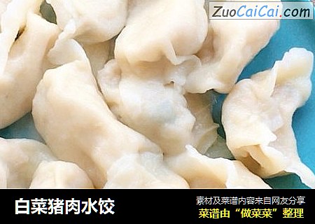 白菜猪肉水饺