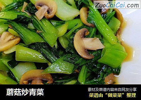 蘑菇炒青菜