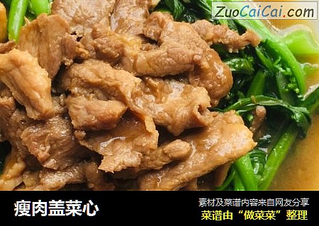 瘦肉盖菜心