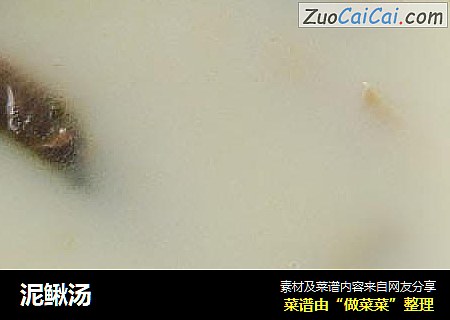 泥鳅汤