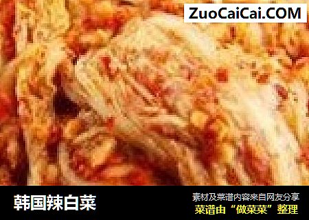 韩国辣白菜
