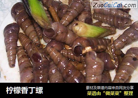 柠檬香丁螺