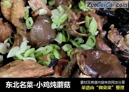 东北名菜-小鸡炖蘑菇
