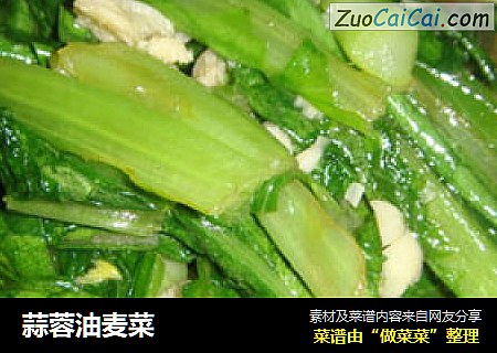 蒜蓉油麦菜