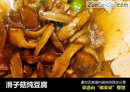 滑子菇炖豆腐