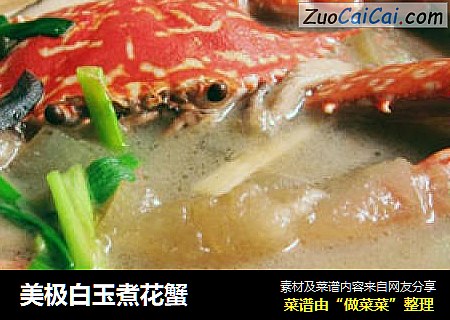 美极白玉煮花蟹