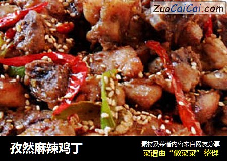 孜然麻辣鸡丁